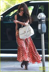 赛琳娜飘逸长裙似花姑娘 赠流浪者钱显爱心(图)