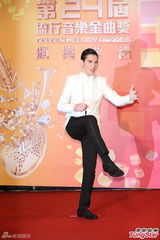 群星亮相金曲奖红毯 蔡依林美腿梁静茹性感(图)