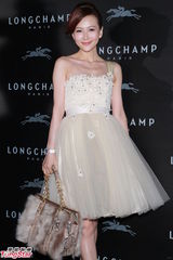 组图：刘嘉玲高圆圆等盛装出席时尚派对