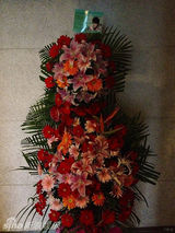 组图：光良微博日志纪录内地巡演点滴