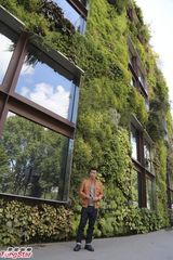 组图：周柏豪皮褛装游走巴黎欣赏街头艺人