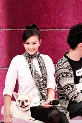 组图：戴娇倩做客综艺节目 爱犬耍宝HIGH翻天