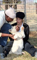 幻灯图集：世界杯今夜闭幕 夏拉奇和吉祥物一起亮相