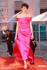 幻灯：香港金像奖颁奖红毯 梁咏琪桃红洋装显高贵