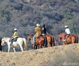 组图：小贝一家骑马出游 辣妹变身酷帅女骑士