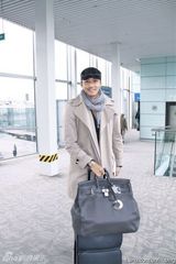 高清组图：胡兵着靓丽晚装亮相罗马电影节 