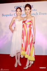 组图：庄思敏性感优雅上阵 携手林莉酒会大秀风情