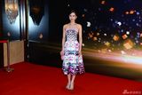 组图：2013新浪微博之夜红毯汇总之女星
