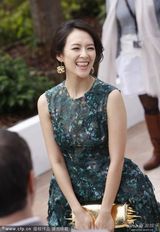 组图：章子怡透视美裙酥胸隐现金饰闪耀