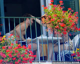 组图：凯莉-布鲁克肉臀若隐若现 与男友海边度假