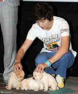 幻灯图：《心心历险记2》首映 宋钟基成东日等出席