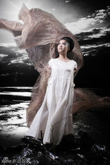 幻灯图集：至尊唱片众艺人演绎 环保明星写真大片 