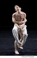 幻灯图：荷兰舞蹈剧场演绎《神与狗》 关注青年心理