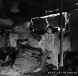 组图：《北上海1950》历史资料照片