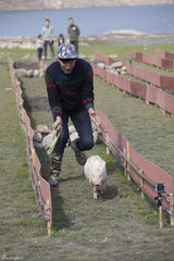 组图：《爸爸》老爸变装逗萌娃 小猪赛跑趣味多