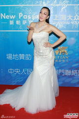 组图：华鼎奖红毯巨星闪耀 妮可刘晓庆斗艳