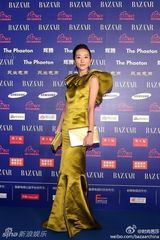 组图：韩雪修身旗袍大气亮相慈善夜红毯