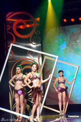 组图：南国美女大赛唯美落幕 三美女喜获奖金