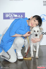 高清图：范晓萱拍微电影探讨动物虐待议题