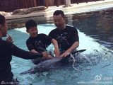 组图：郭涛石头与海豚亲密互动 亲吻有爱