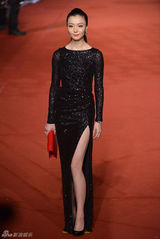 高清组图：第49届金马奖红毯星光闪耀