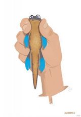 高清组图：皮克斯动画片《蝾螈》概念艺术设计图