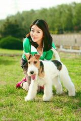 组图：小李琳温馨杂志写真邂逅俏皮犬