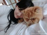 组图：陈乔恩搂猫咪晒床照 摆姿势卖萌撩人