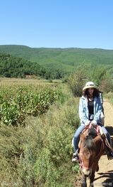 组图：网曝快男左立女友劈腿 与老外热吻