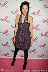组图：伊丽莎白-赫莉低胸裙亮相乳癌基金会派对