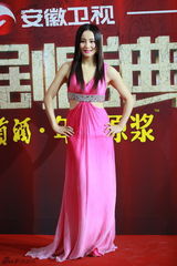 组图：众星云集国剧盛典 金宇彬朴信惠首度来华