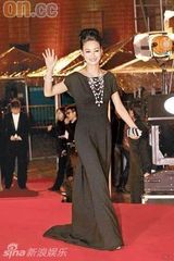 幻灯组图：金像奖红毯点评 熊黛林古典美叶璇最性感