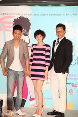 组图：孙俪主演《辣妈正传》发布会