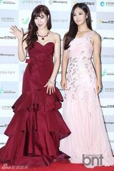 组图：众偶像亮相仁川演唱会红毯 珍云受伤架拐