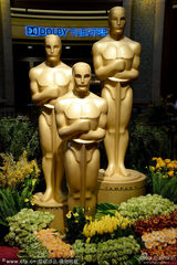 组图：奥斯卡红毯下雨 小金人裹塑料布