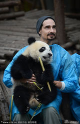 组图：后街男孩化身熊猫奶爸 喂竹子吐舌卖萌