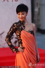 组图：石小群橘色裙装现身 透视黑纱大胆露半球