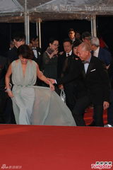 组图：金燕玲纱裙飘逸 牵手钱嘉乐亮相红毯