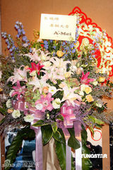 幻灯图：林晓培发专辑劲装亮相 劲歌热舞激情四射