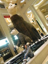 幻灯：郑钧刘芸异国甜蜜相拥 公开恋情感受圣诞气息