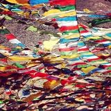 组图：王菲与小伙伴游西藏 晒美景羡煞网友