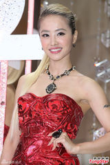 组图：蔡依林出席圣诞派对 抹胸装挤G奶秀美腿