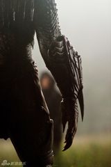 幻灯：新版电影《铁血战士》新剧照公布