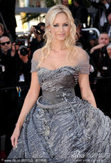 幻灯图集：《美错》戛纳首映 蒂姆-伯顿范冰冰捧场