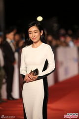 组图：秦海璐长裙亮相红毯 自信抿嘴笑眯眯