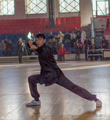 组图：张震参加八极拳全国比赛拿名次