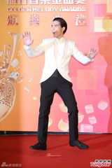 群星亮相金曲奖红毯 蔡依林美腿梁静茹性感(图)