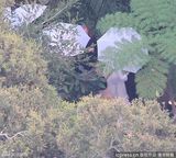 组图：女星德鲁-巴里摩尔私邸浪漫结婚