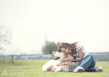 组图：刘虹翎与爱犬拍写真 呼吁关注流浪动物