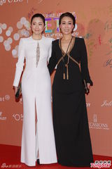 群星闪耀嫣然基金晚宴 王菲旗袍装与李亚鹏恩爱